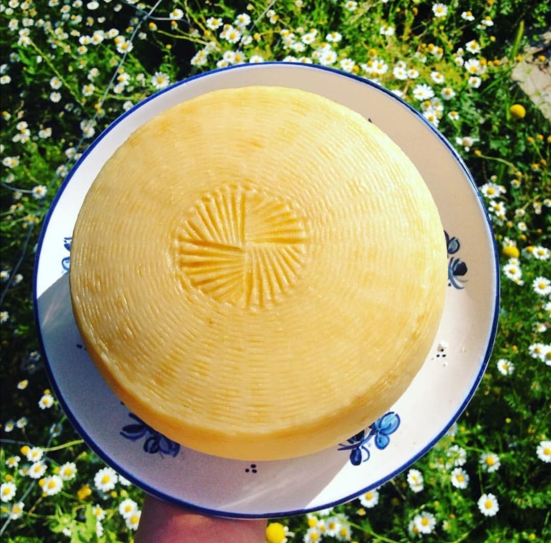 pecorino di farindola arsita